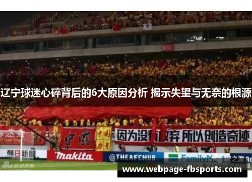 辽宁球迷心碎背后的6大原因分析 揭示失望与无奈的根源
